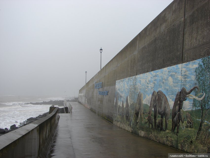 Будни Маруси | Бэйбики Будни Маруси — Разные шарнирные куклы (не БЖД): редкие (фото 10)
