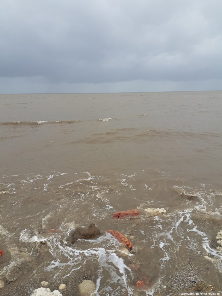 Маруся и море | Бэйбики Маруся и море — Разные шарнирные куклы (не БЖД): редкие (фото 8)