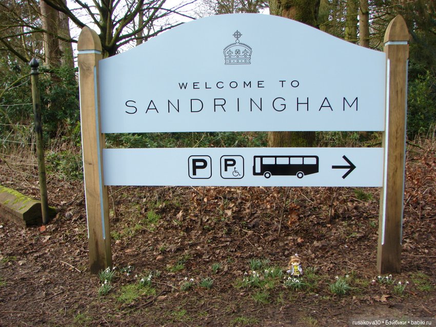 Лес, лес... полный сказок и чудес (фото 2)