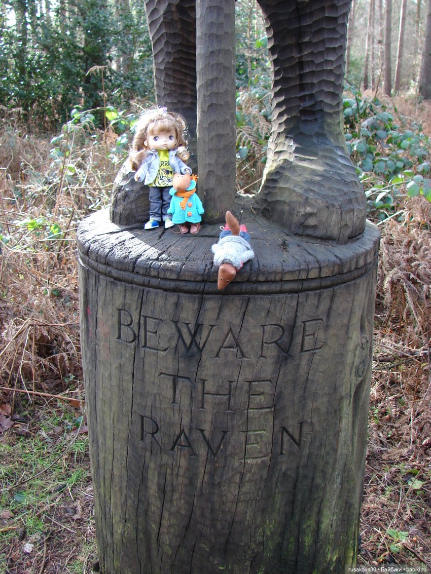 Лес, лес... полный сказок и чудес