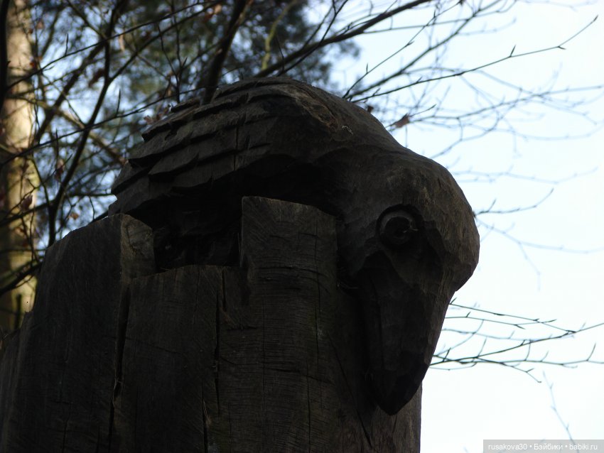 Лес, лес... полный сказок и чудес