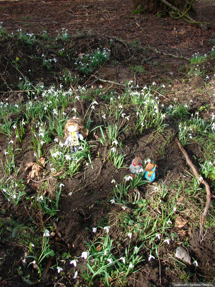 Лес, лес... полный сказок и чудес (фото 5)