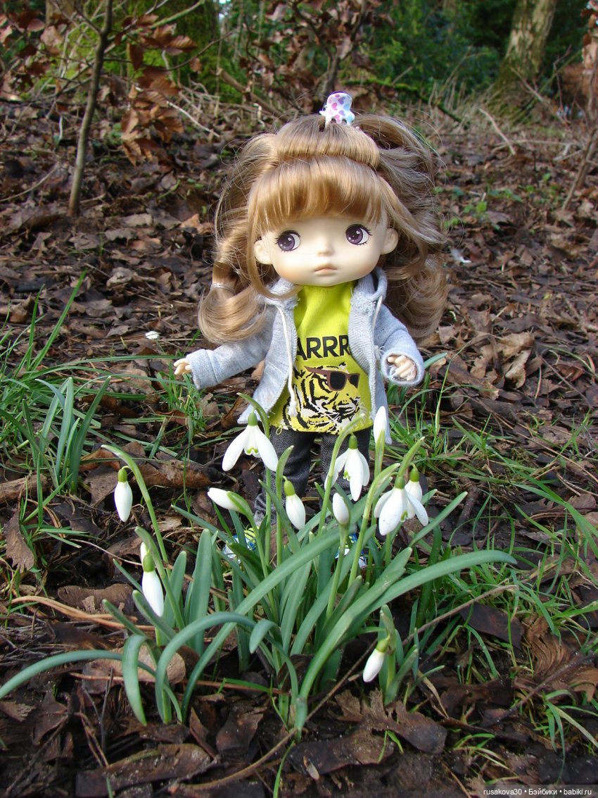 Лес, лес... полный сказок и чудес (фото 3)