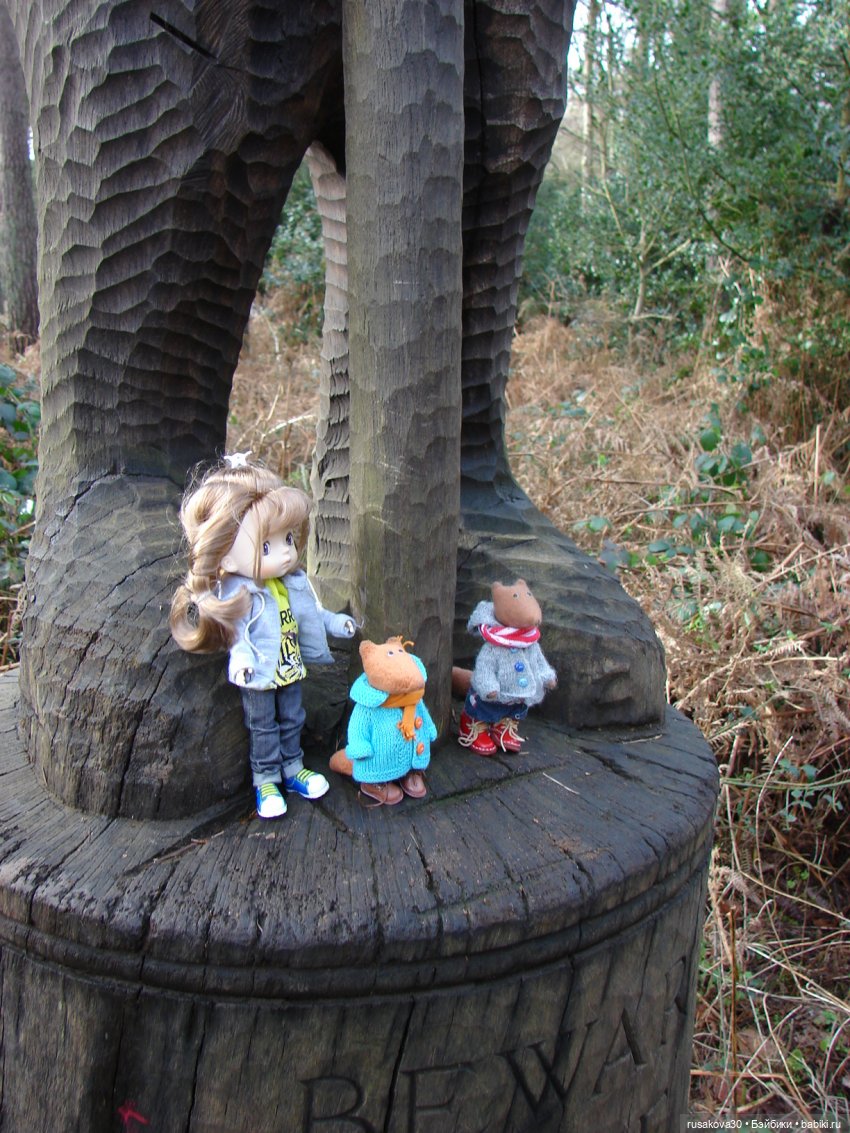 Лес, лес... полный сказок и чудес