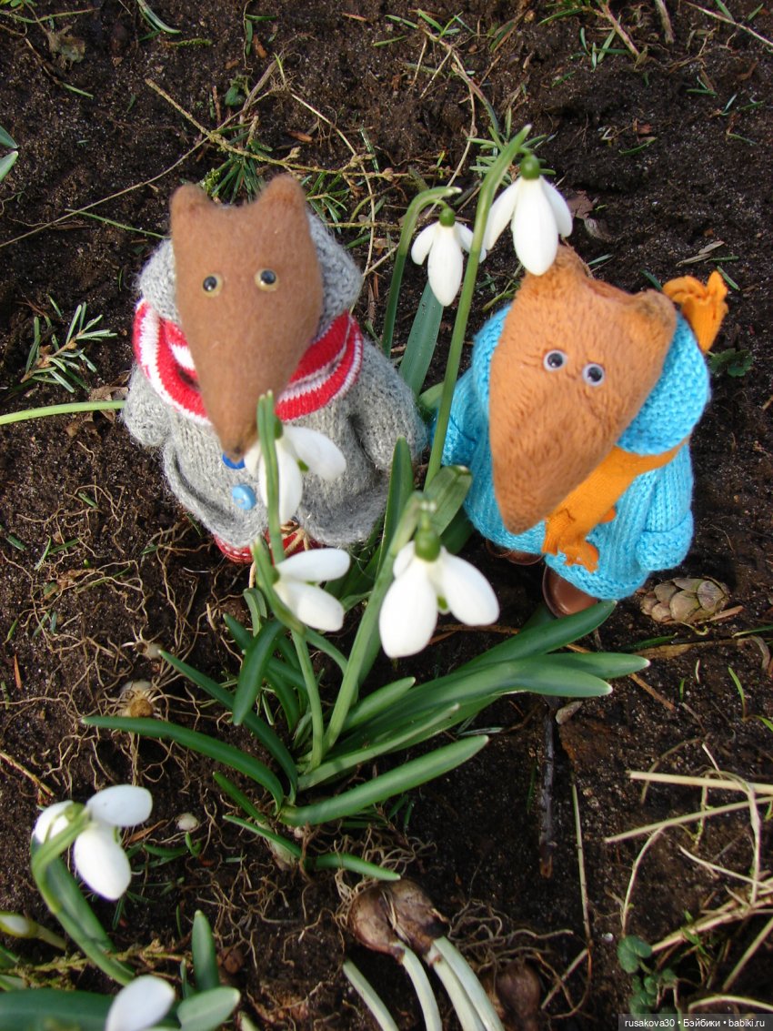 Лес, лес... полный сказок и чудес (фото 6)