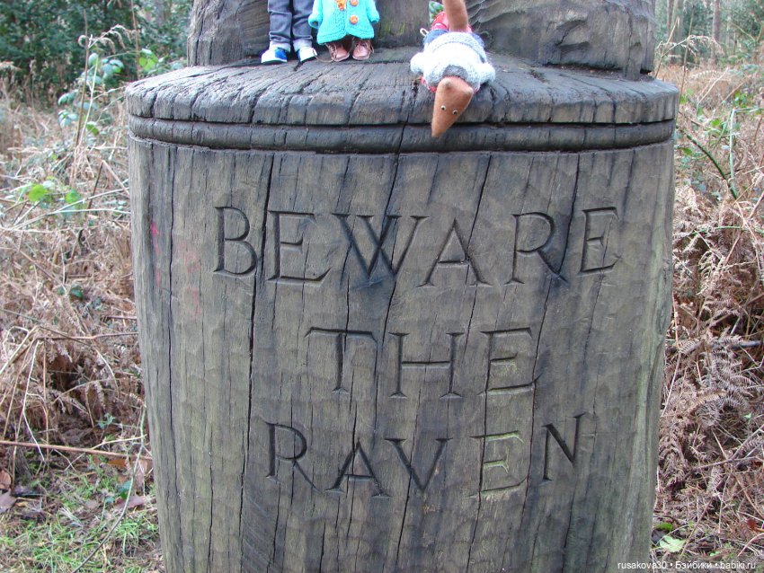 Лес, лес... полный сказок и чудес