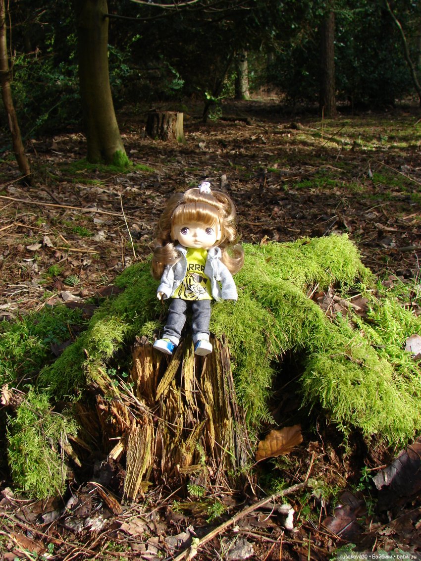 Лес, лес... полный сказок и чудес