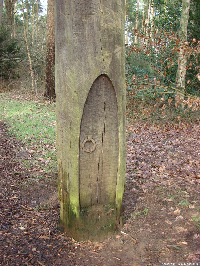 Лес, лес... полный сказок и чудес