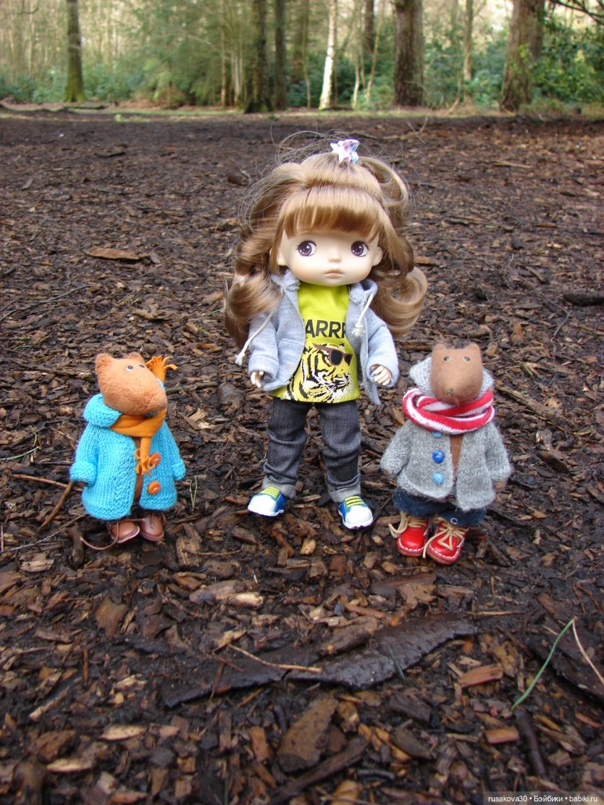 Лес, лес... полный сказок и чудес