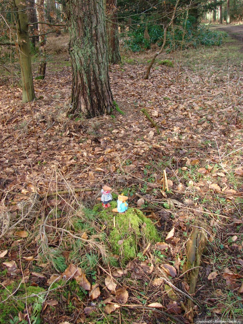 Лес, лес... полный сказок и чудес