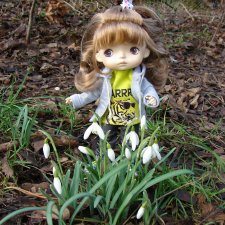 Лес, лес... полный сказок и чудес