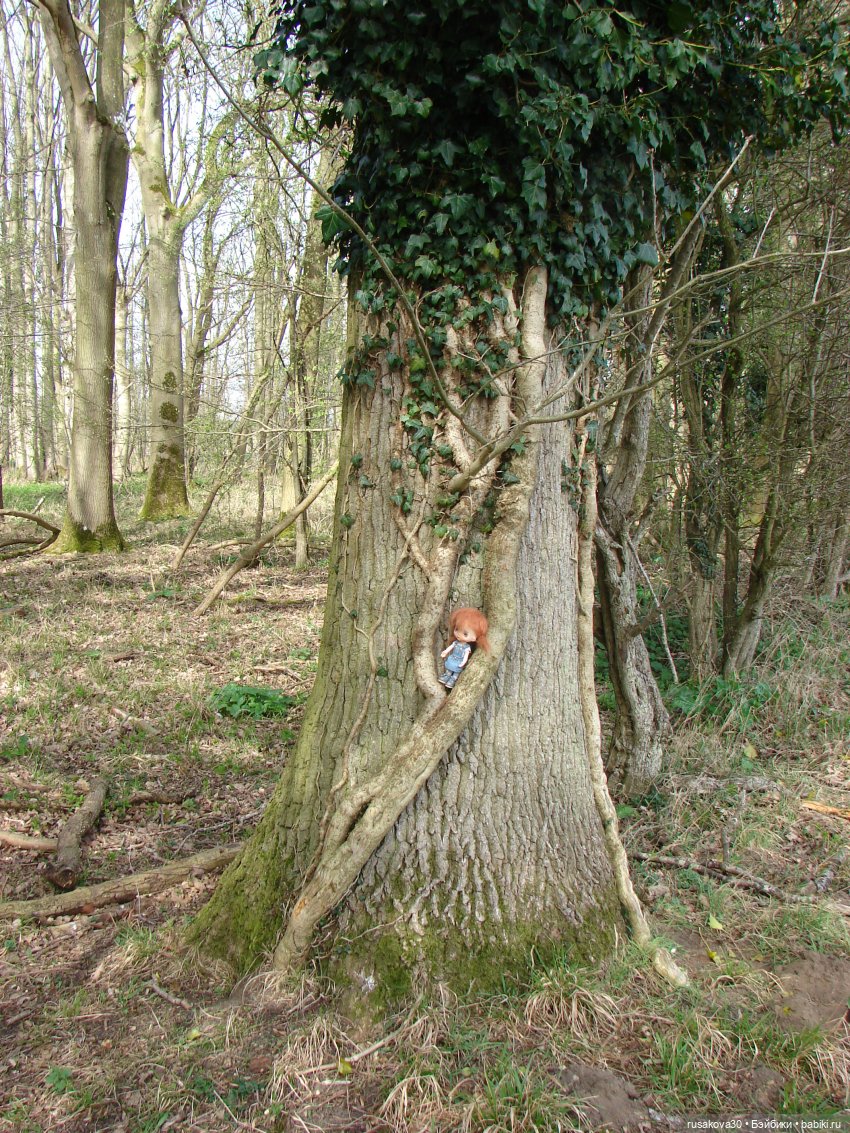 Англия, Оксбург-холл | Бэйбики Англия, Оксбург-холл — Разные шарнирные куклы (не БЖД): редкие