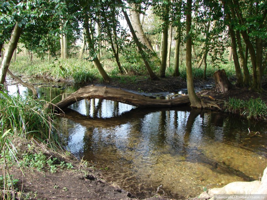 Англия, Оксбург-холл | Бэйбики Англия, Оксбург-холл — Разные шарнирные куклы (не БЖД): редкие