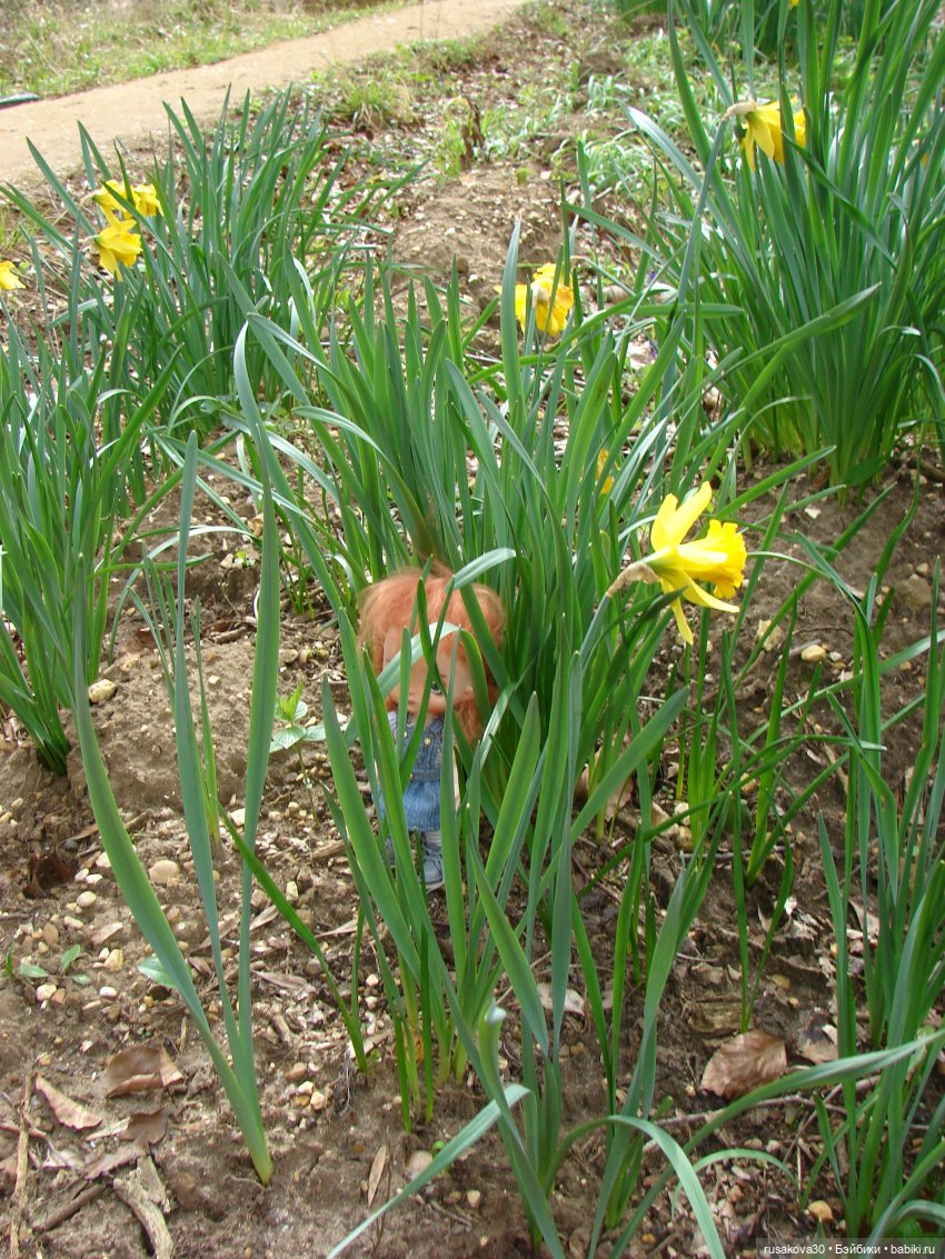 Англия, Оксбург-холл | Бэйбики Англия, Оксбург-холл — Разные шарнирные куклы (не БЖД): редкие