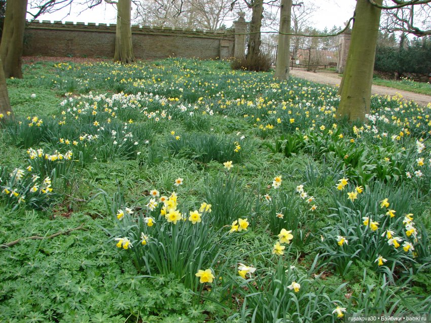 Англия, Оксбург-холл | Бэйбики Англия, Оксбург-холл — Разные шарнирные куклы (не БЖД): редкие