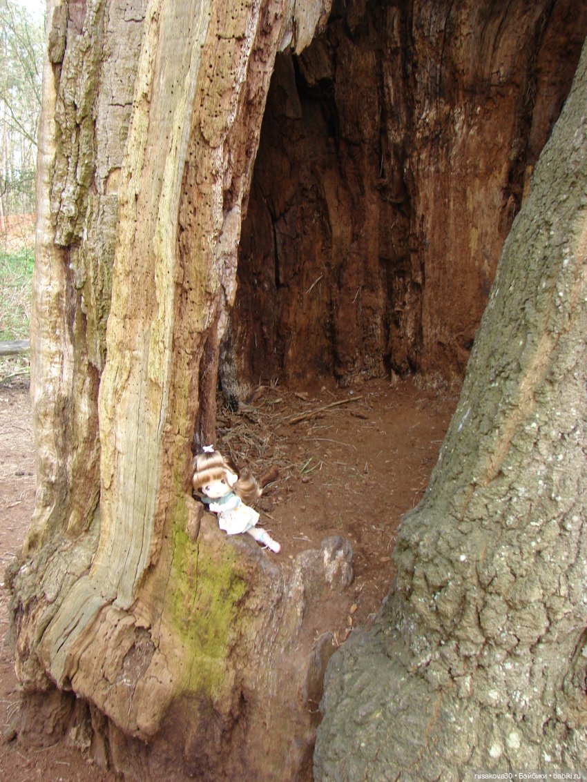 Англия, Оксбург-холл | Бэйбики Англия, Оксбург-холл — Разные шарнирные куклы (не БЖД): редкие
