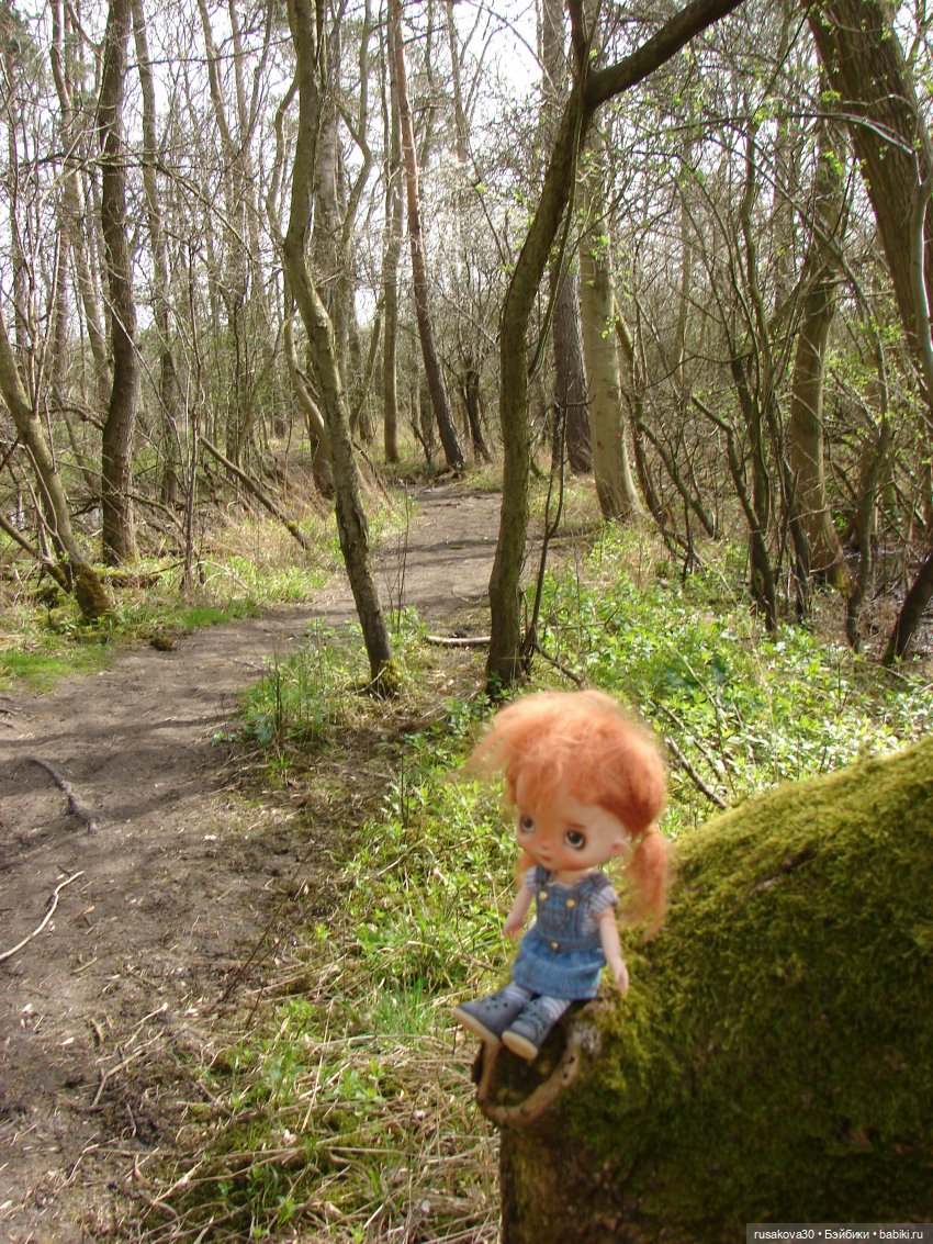 Англия, Оксбург-холл | Бэйбики Англия, Оксбург-холл — Разные шарнирные куклы (не БЖД): редкие