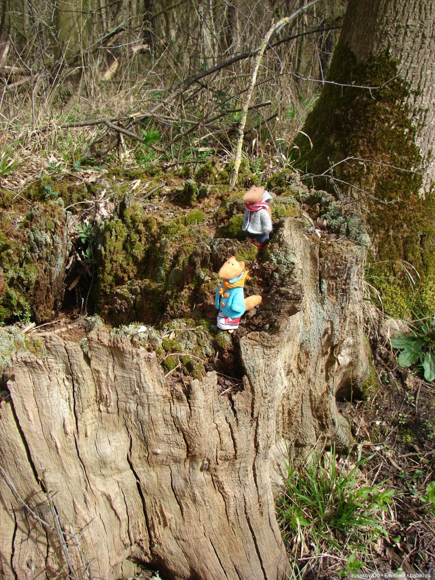 Англия, Оксбург-холл | Бэйбики Англия, Оксбург-холл — Разные шарнирные куклы (не БЖД): редкие