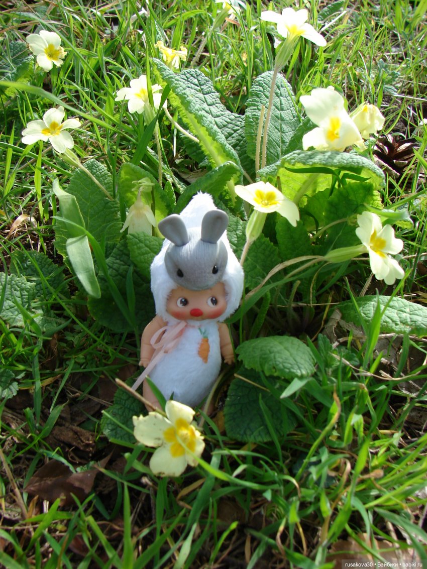 Англия, Оксбург-холл | Бэйбики Англия, Оксбург-холл — Разные шарнирные куклы (не БЖД): редкие