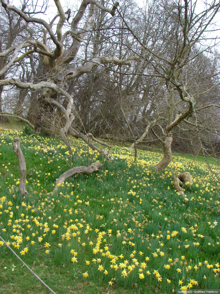 Англия, Норфолк: Blickling Hall - здесь обитают привидения | Бэйбики Англия, Норфолк: Blickling Hall - здесь обитают привидения