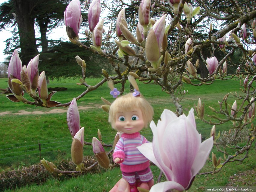Англия, Норфолк: Blickling Hall - здесь обитают привидения | Бэйбики Англия, Норфолк: Blickling Hall - здесь обитают привидения