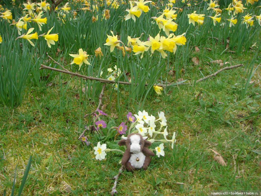 Англия, Норфолк: Blickling Hall - здесь обитают привидения | Бэйбики Англия, Норфолк: Blickling Hall - здесь обитают привидения