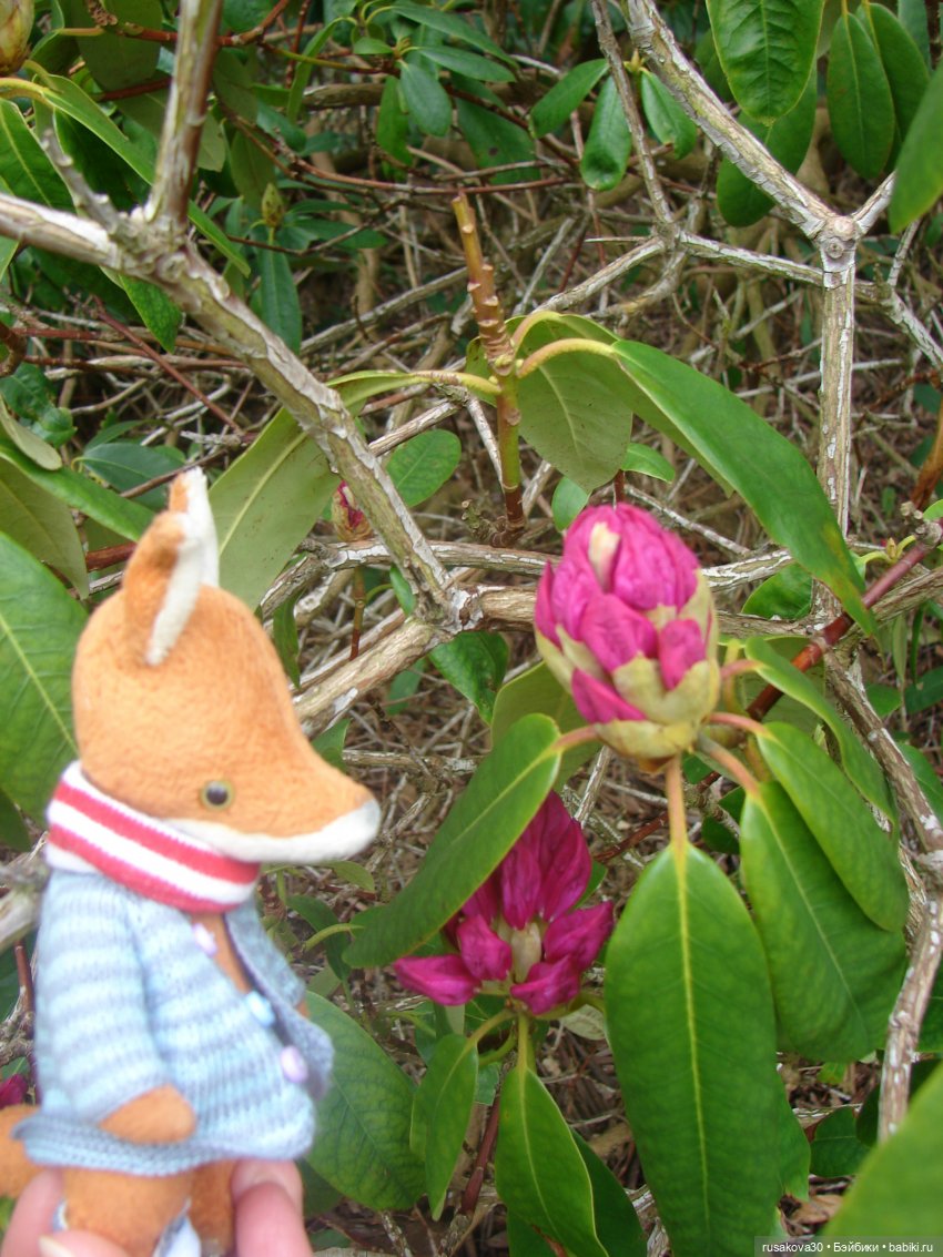 Англия, Норфолк: Blickling Hall - здесь обитают привидения | Бэйбики Англия, Норфолк: Blickling Hall - здесь обитают привидения