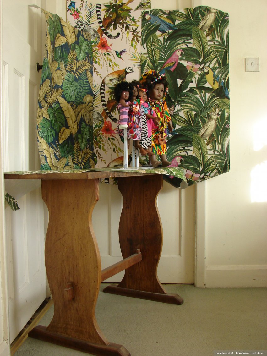 Мои африканочки — Новости конкурсов: план на год