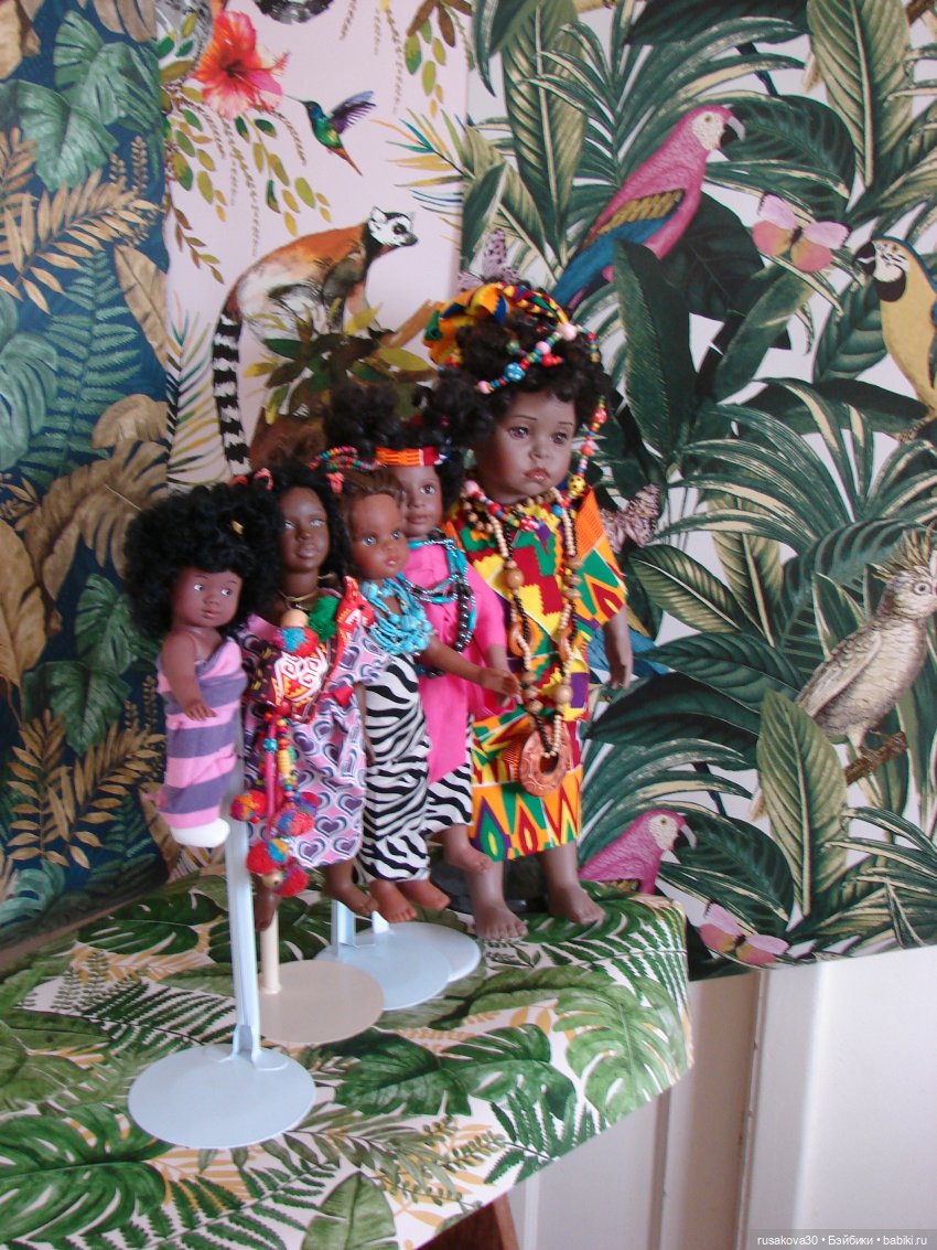 Мои африканочки — Новости конкурсов: план на год