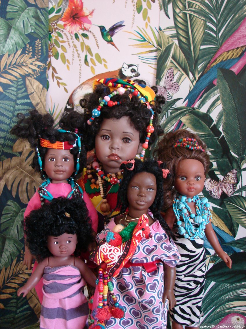 Мои африканочки — Новости конкурсов: план на год