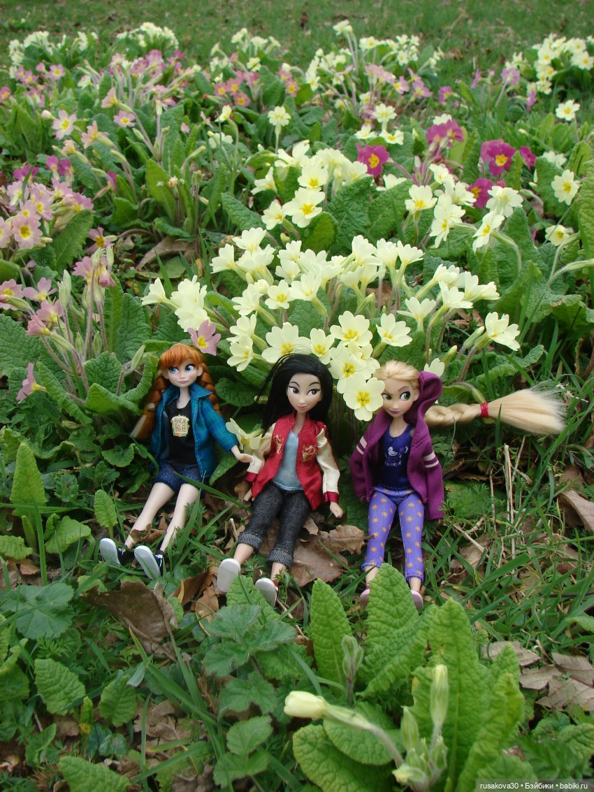 Как мои принцесски Felbrigg Hall осматривали