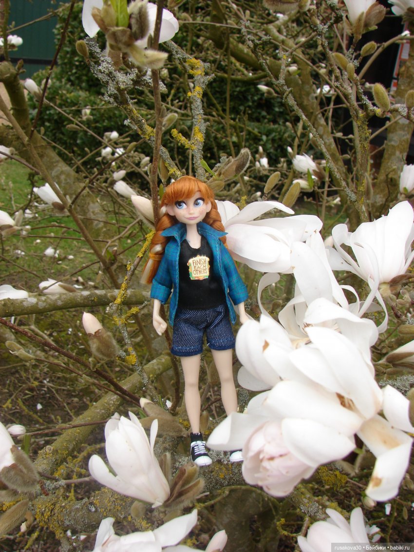 Как мои принцесски Felbrigg Hall осматривали