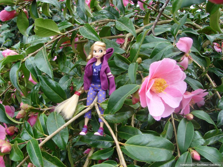 Как мои принцесски Felbrigg Hall осматривали