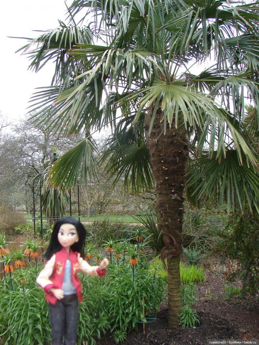 Как мои принцесски Felbrigg Hall осматривали