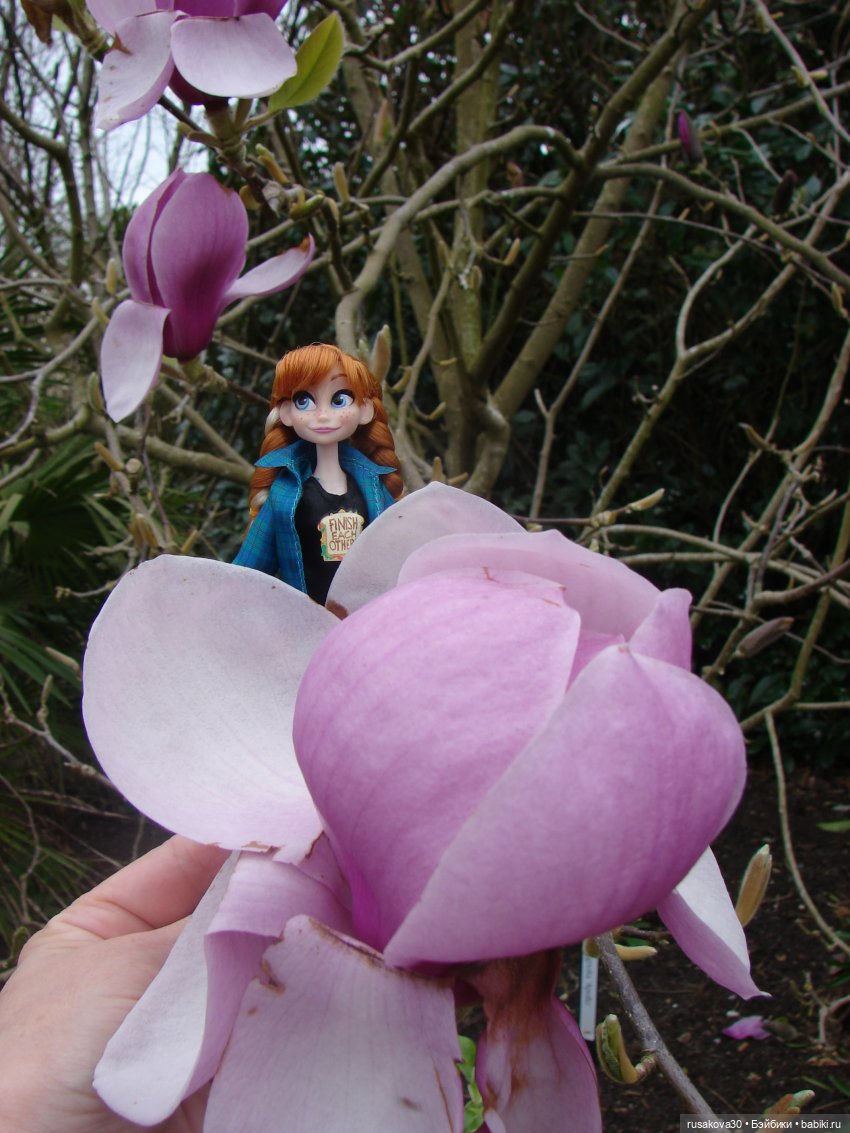 Как мои принцесски Felbrigg Hall осматривали