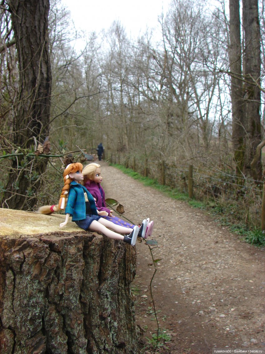 Как мои принцесски Felbrigg Hall осматривали