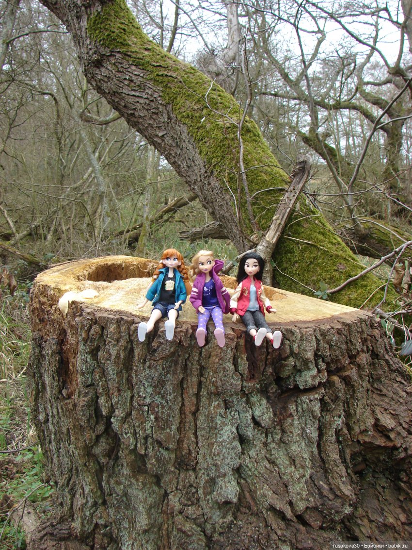 Как мои принцесски Felbrigg Hall осматривали