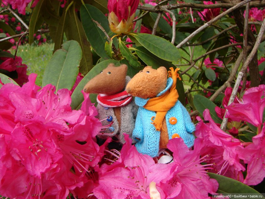 Сады поместья Stody Lodge (фото 9)