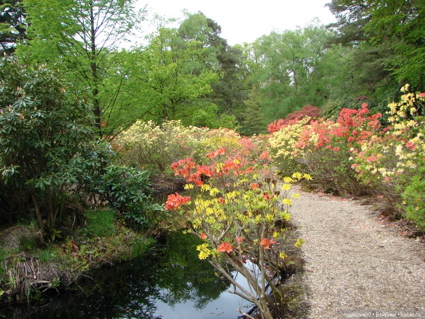 Сады поместья Stody Lodge