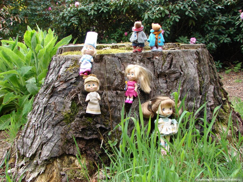 Сады поместья Stody Lodge (фото 7)