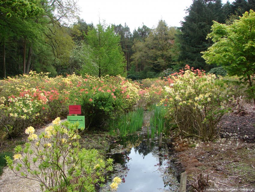 Сады поместья Stody Lodge