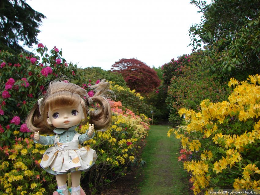 Сады поместья Stody Lodge