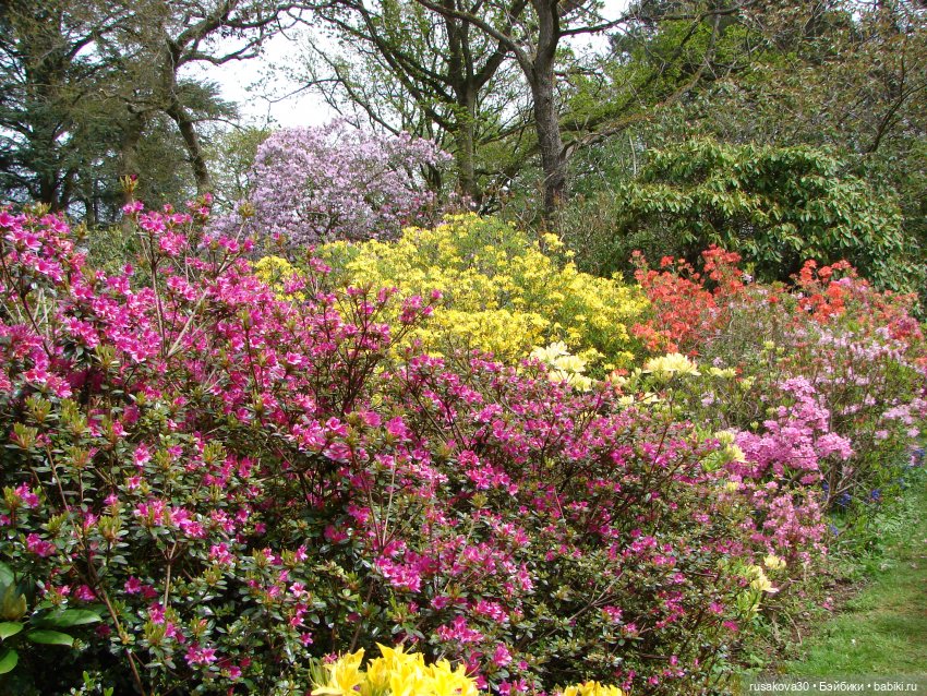Сады поместья Stody Lodge