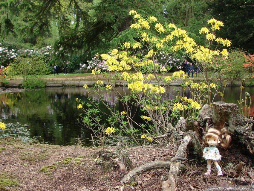 Сады поместья Stody Lodge