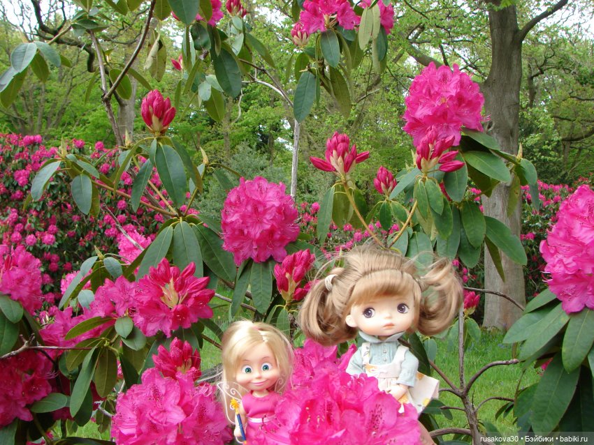 Сады поместья Stody Lodge (фото 2)