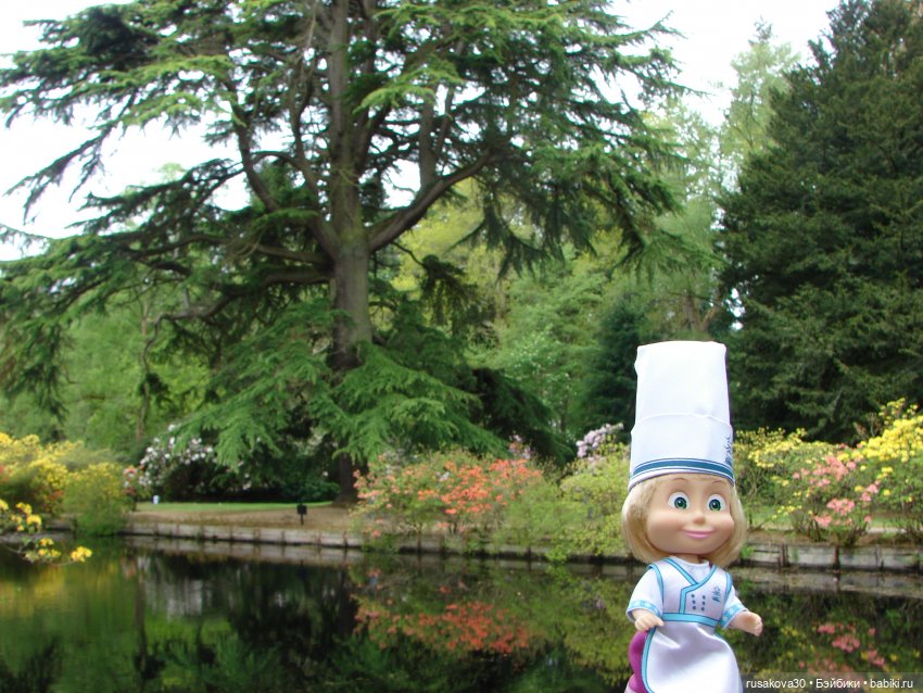 Сады поместья Stody Lodge