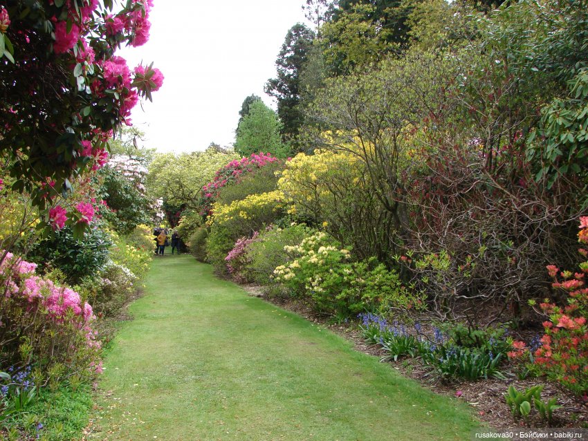 Сады поместья Stody Lodge