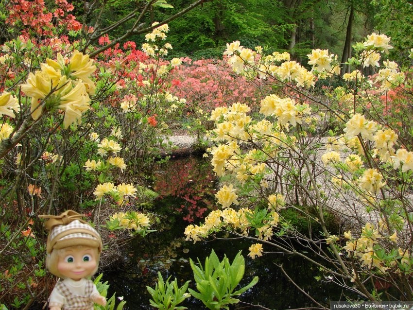 Сады поместья Stody Lodge