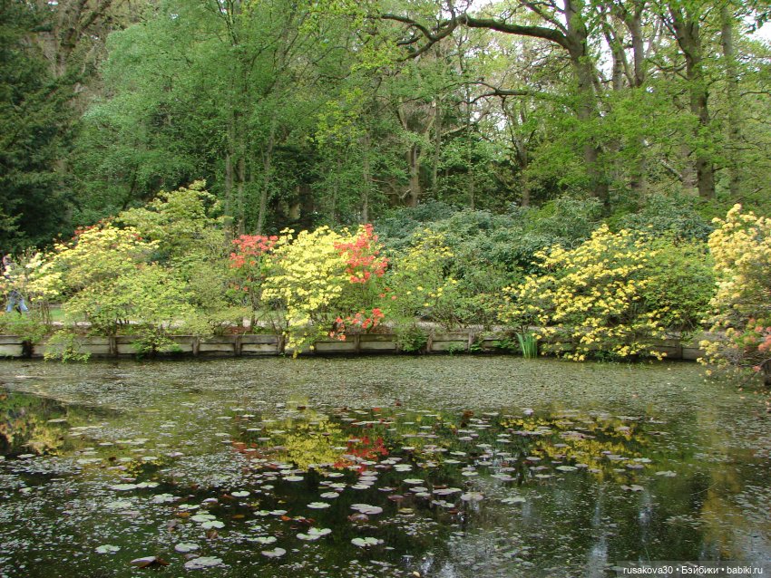 Сады поместья Stody Lodge