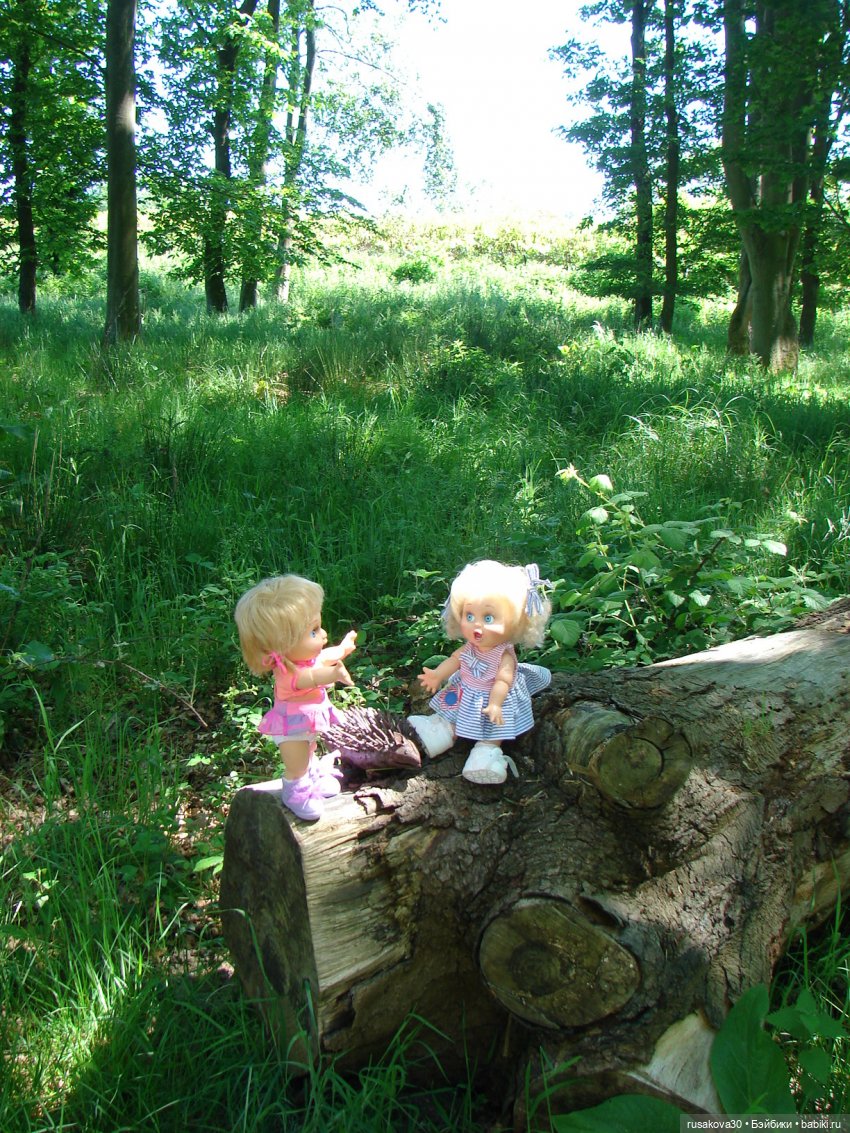 Фейсинки гуляют по заповеднику